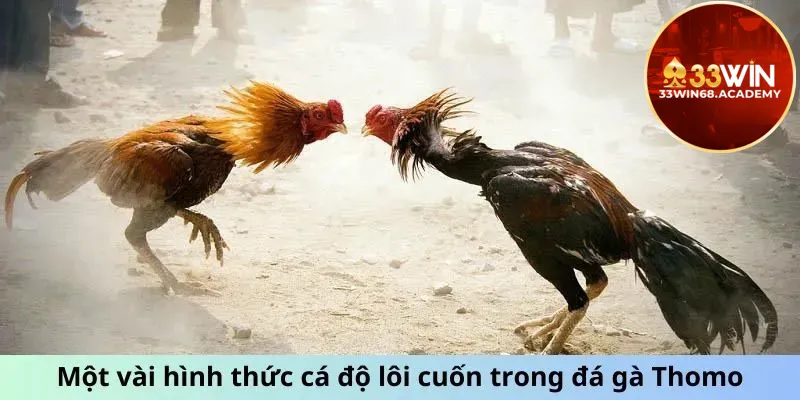 Những hình thức cá cược tại đá gà thomo